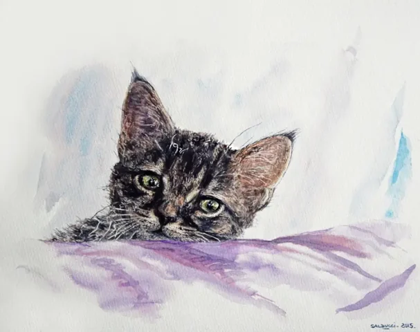 Aquarelle chaton Touna par Patrick Salducci artiste peintre