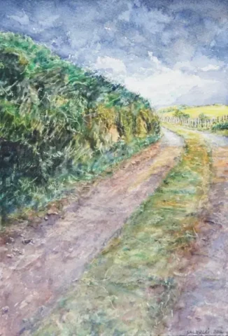 Aquarelle le chemin pays basques par Patrick Salducci
