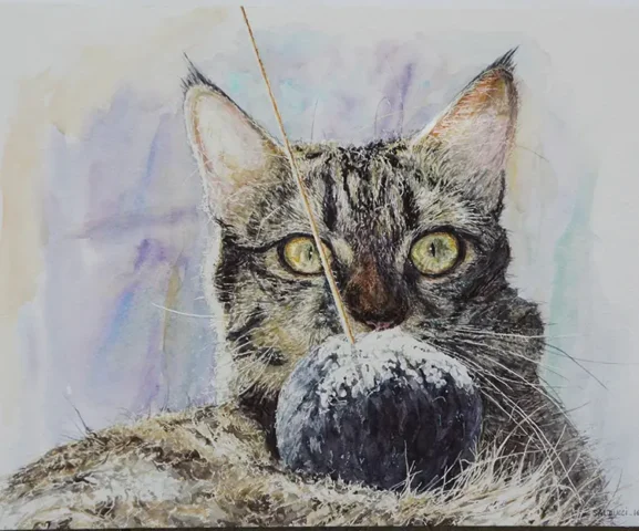 Portrait chat aquarelle TOUNA