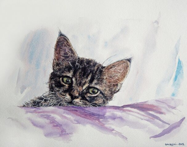 Aquarelle de mon chat Touna Salducci 2016