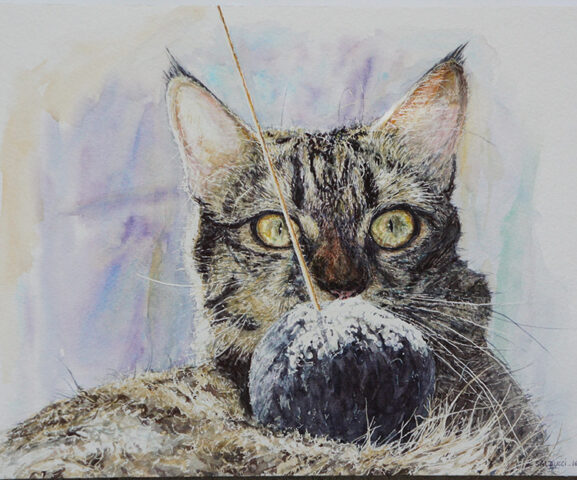 Portait aquarelle notre Chat Touna Salducci